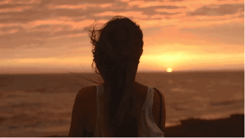 3acb45d1e9d74ed588ec3986369c0e63.gif