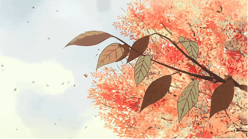 640 (16).gif