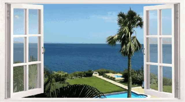 IMG_4028.GIF