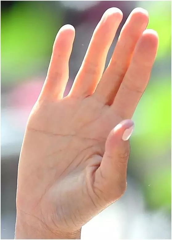 640.webp (5).jpg