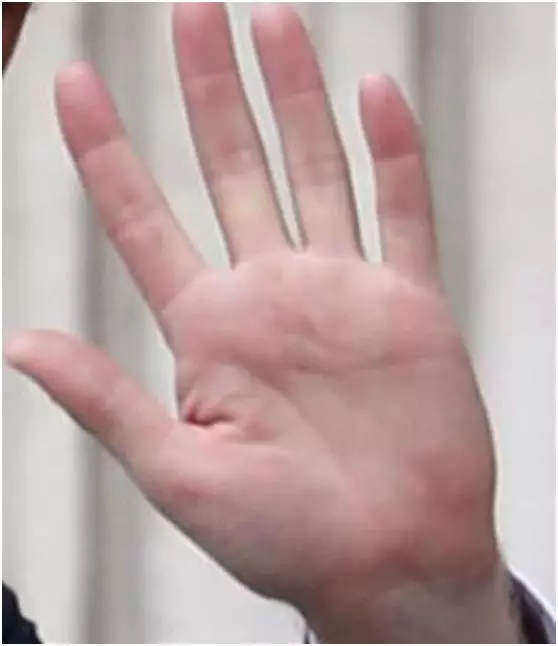 640.webp (9).jpg