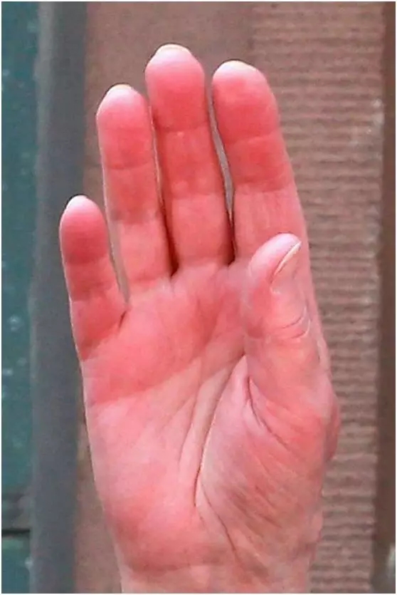 640.webp (11).jpg