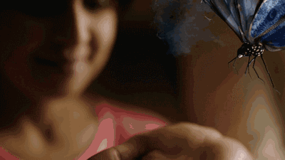 640.gif