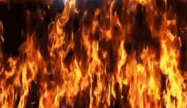 987a7b737e1f116ab13cd6c0ada4b564.gif