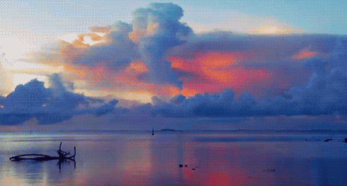 640.gif