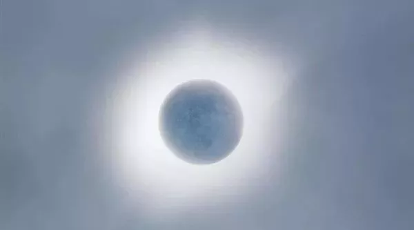 微信图片_20190703153725.png