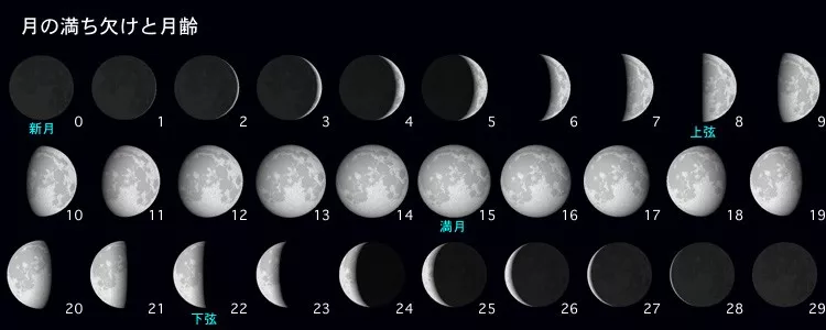 微信图片_2019070514211011.png