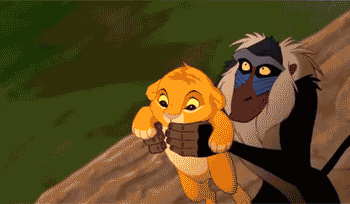 timg (10).gif