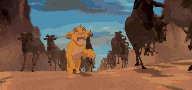 timg (7).gif