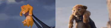 timg (6).gif