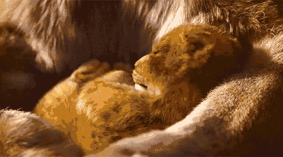 timg (16).gif