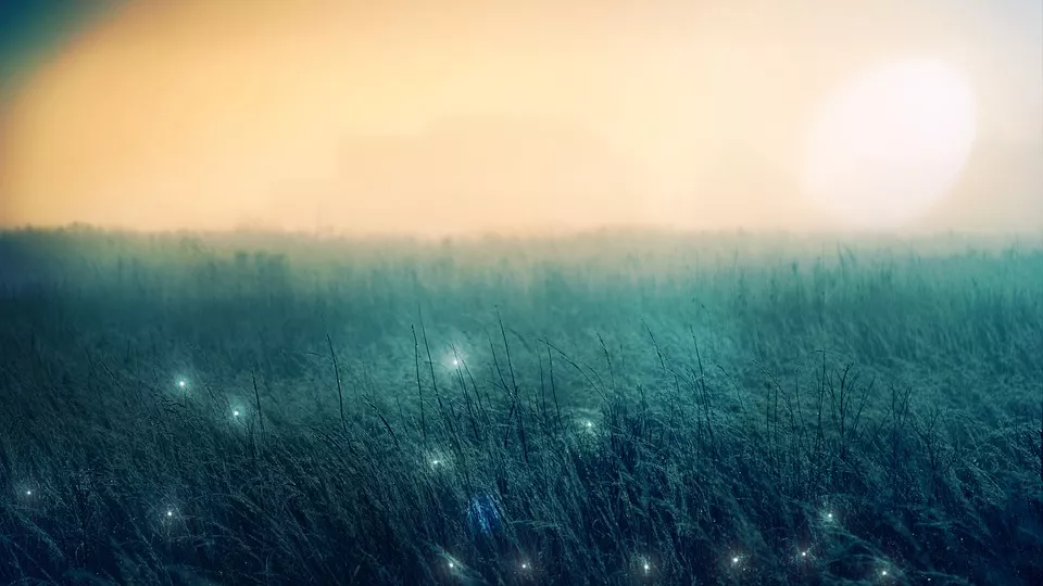 微信图片_201907232152533.png