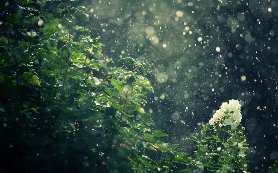 微信图片_201907232152535.png