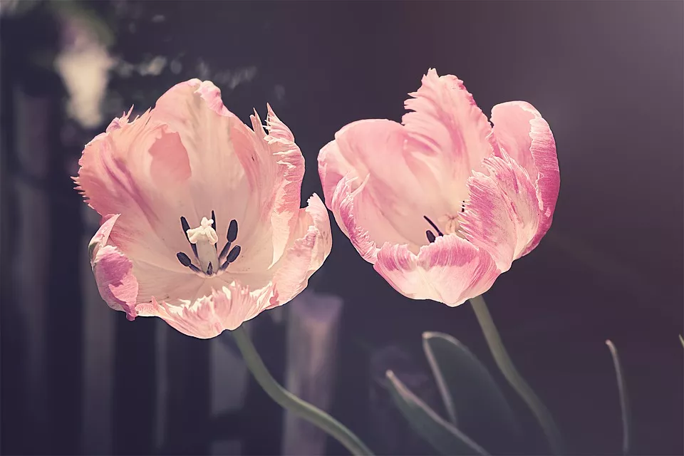 微信图片_2019072416384511.png