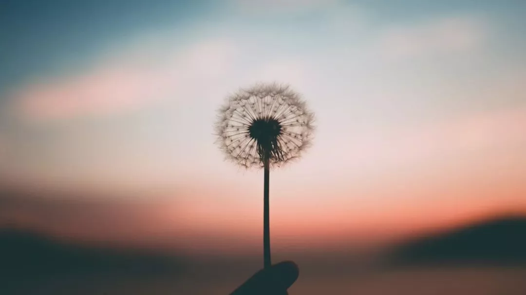 微信图片_201909290013364.png