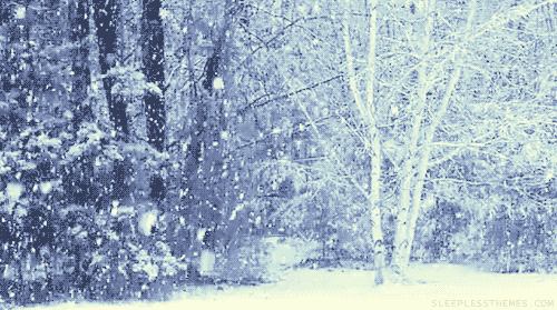 640 (2).gif