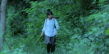 640 (6).gif