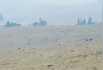 640 (3).gif