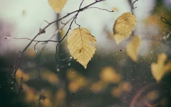 微信图片_202001201656594.png 微信图片_202001201656594.png