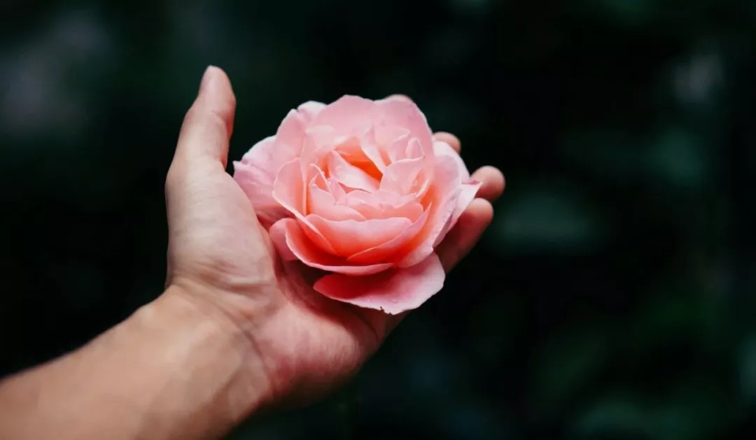 微信图片_202001201656595.png 微信图片_202001201656595.png