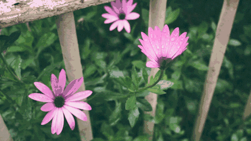 640 (1).gif 640 (1).gif