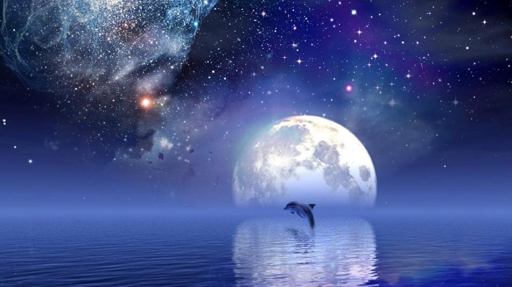 星座周运指南（11月20日—11月26日）