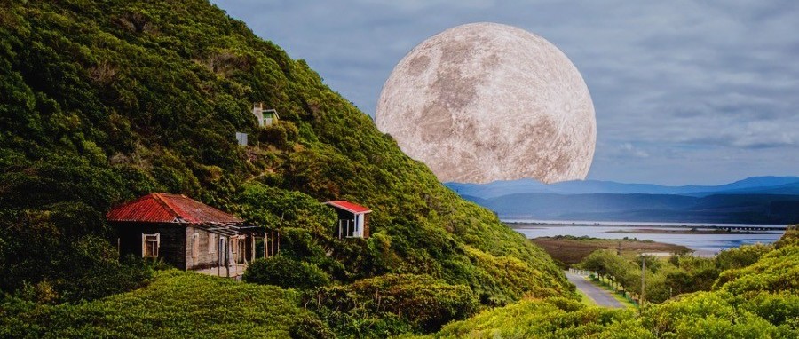 如何抓住职业良机？月亮这3招我后悔没早点知道（收藏）