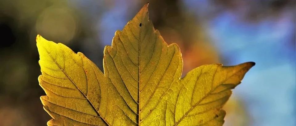 木星顺行3天前“贴秋膘”，这是为了什么？