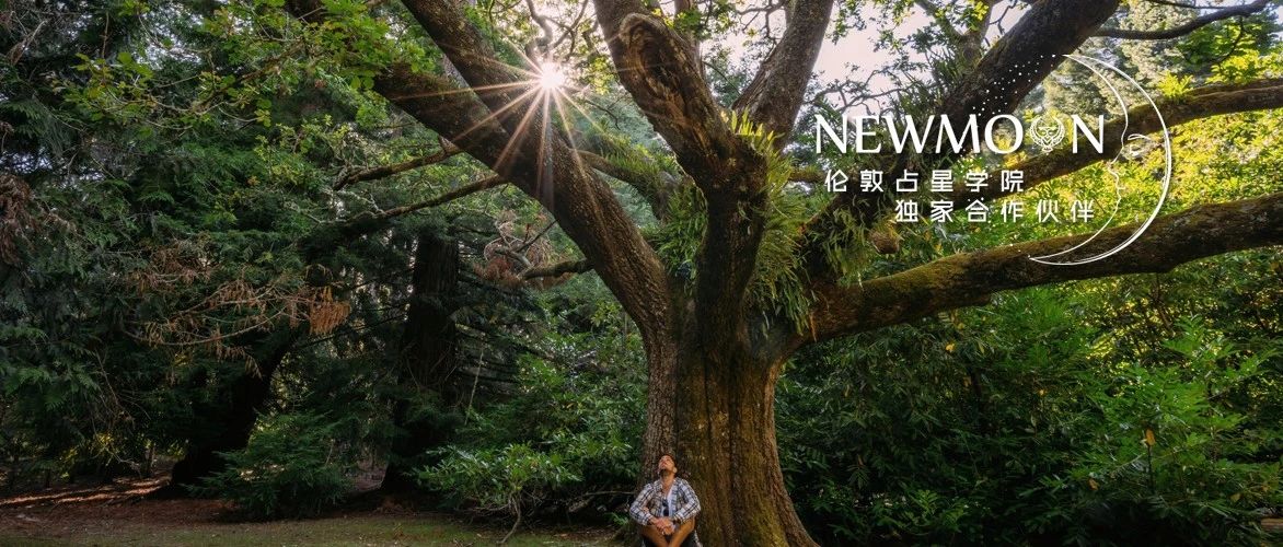 你的职业值多少“钱”？被摩羯打磨后的木星，用信仰的力量告诉你（木星相位全解）